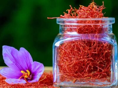 "Himalayan Essentials Shilajit with Kesar