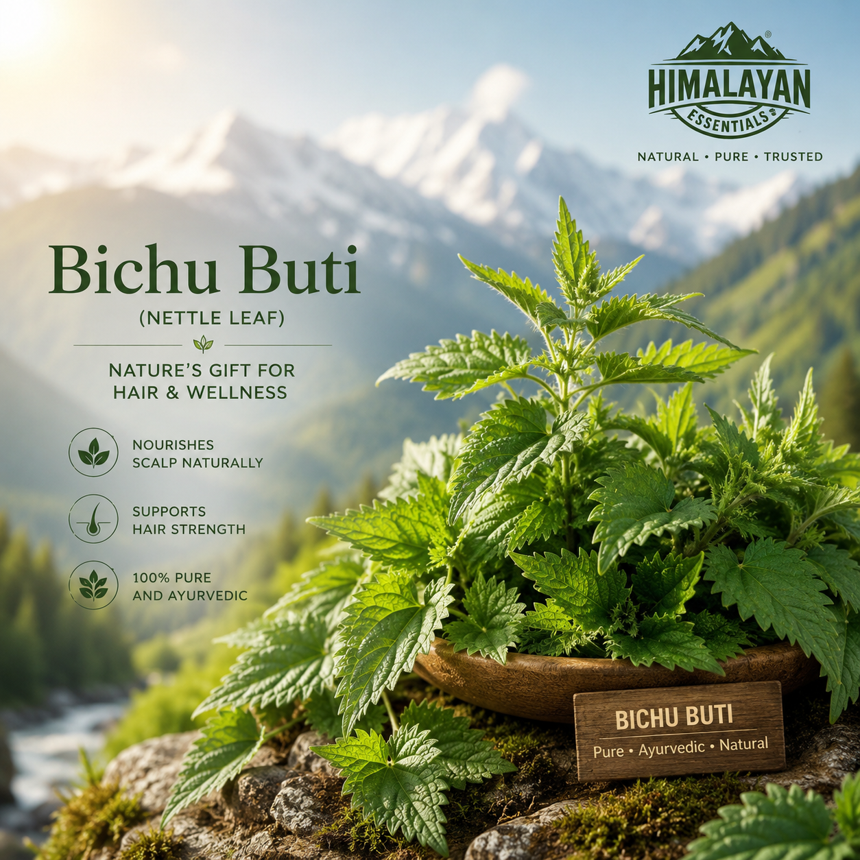 Bichu Buti herb used in Himalayan Essentials Hair Growth Tablets for healthy hair