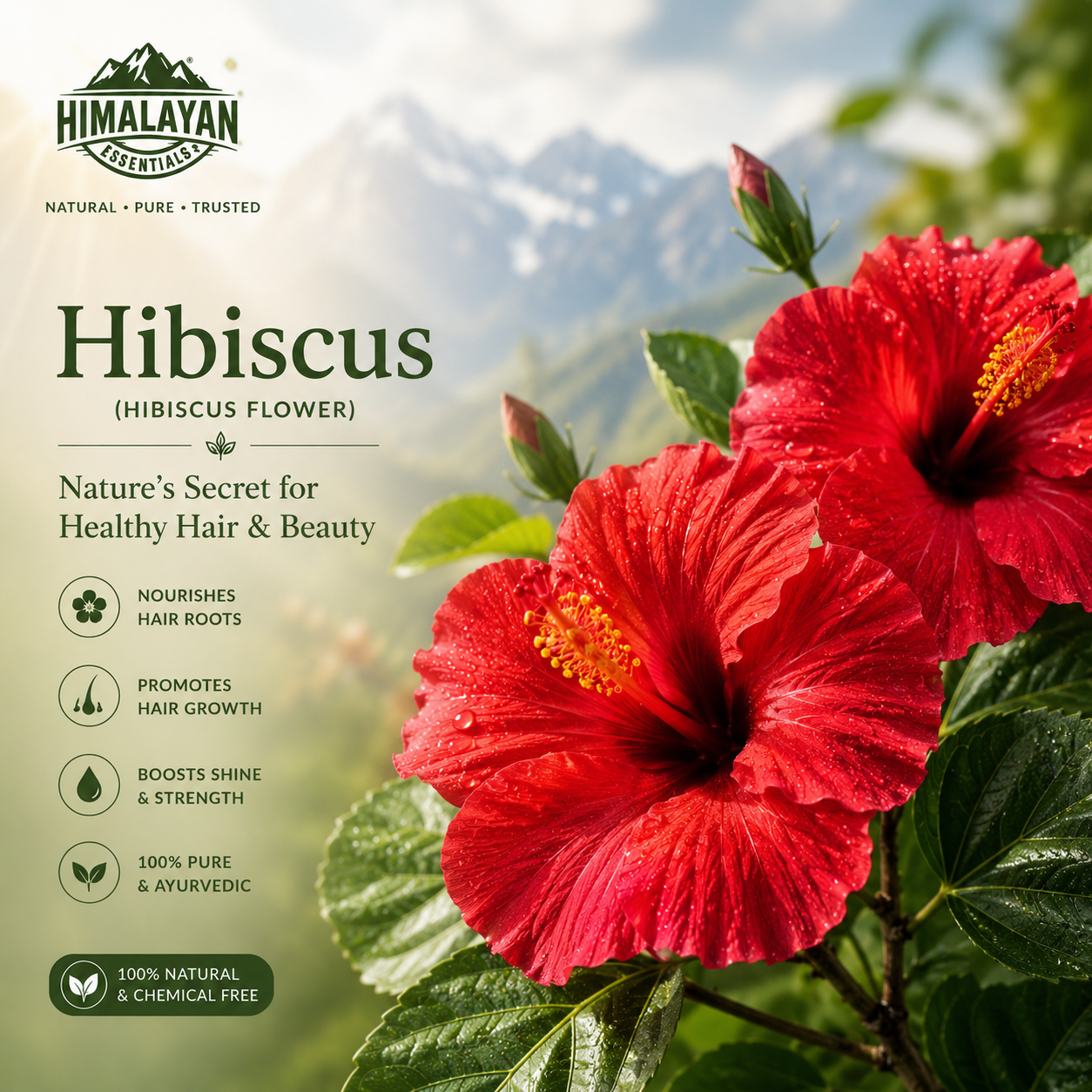 Fresh Hibiscus flower ingredient in Himalayan Essentials Hair Growth Tablets