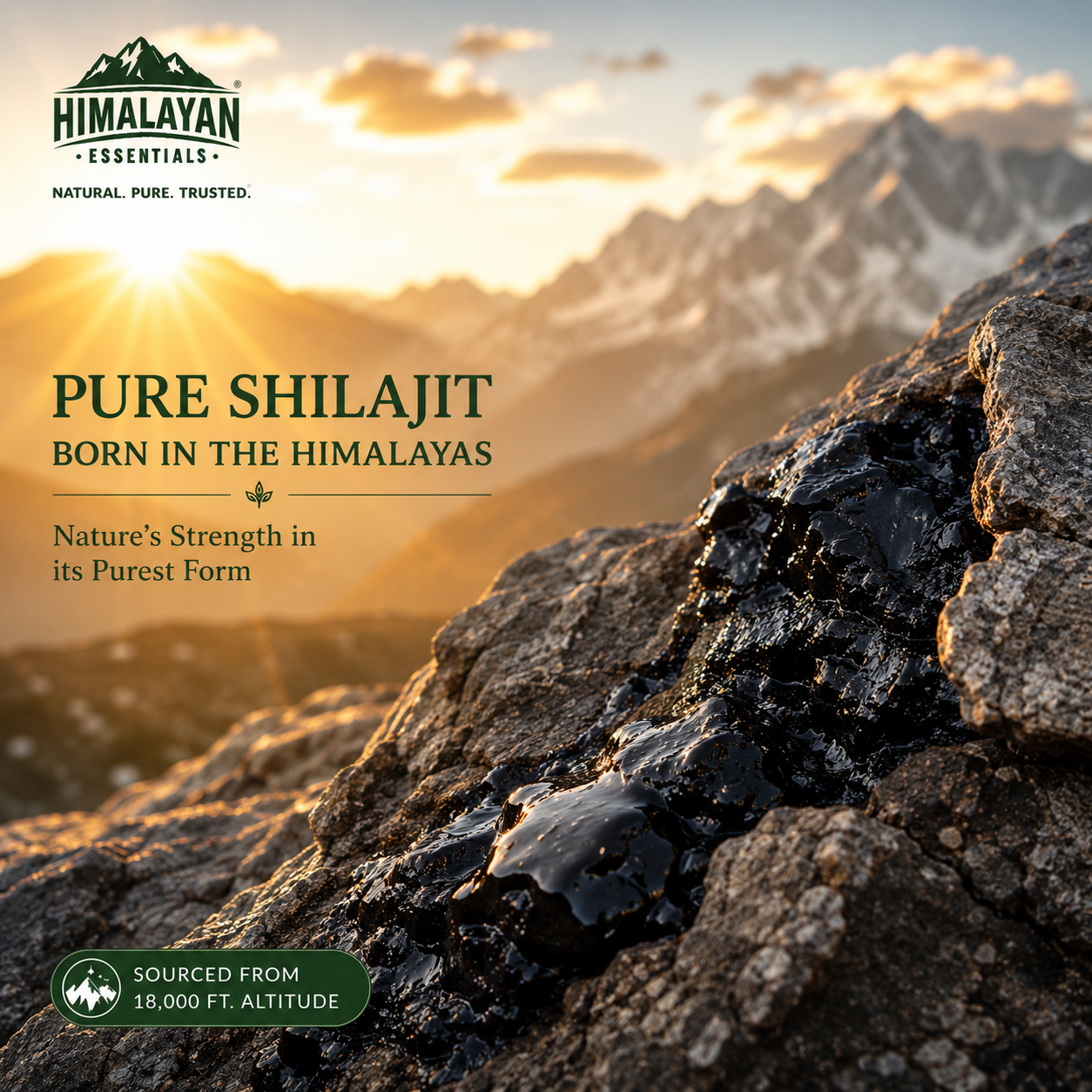 Pure Shilajit ingredient used in Himalayan Essentials Shilajit With Kesar Resin
