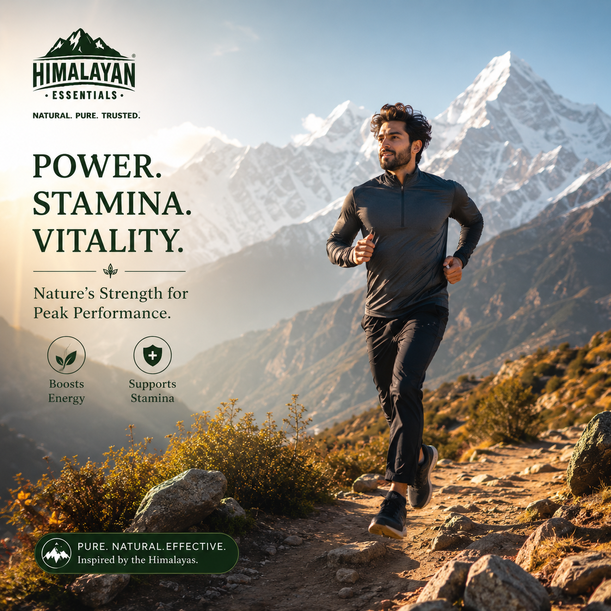 Himalayan Essentials Shilajit With Kesar Resin for vitality and stamina support