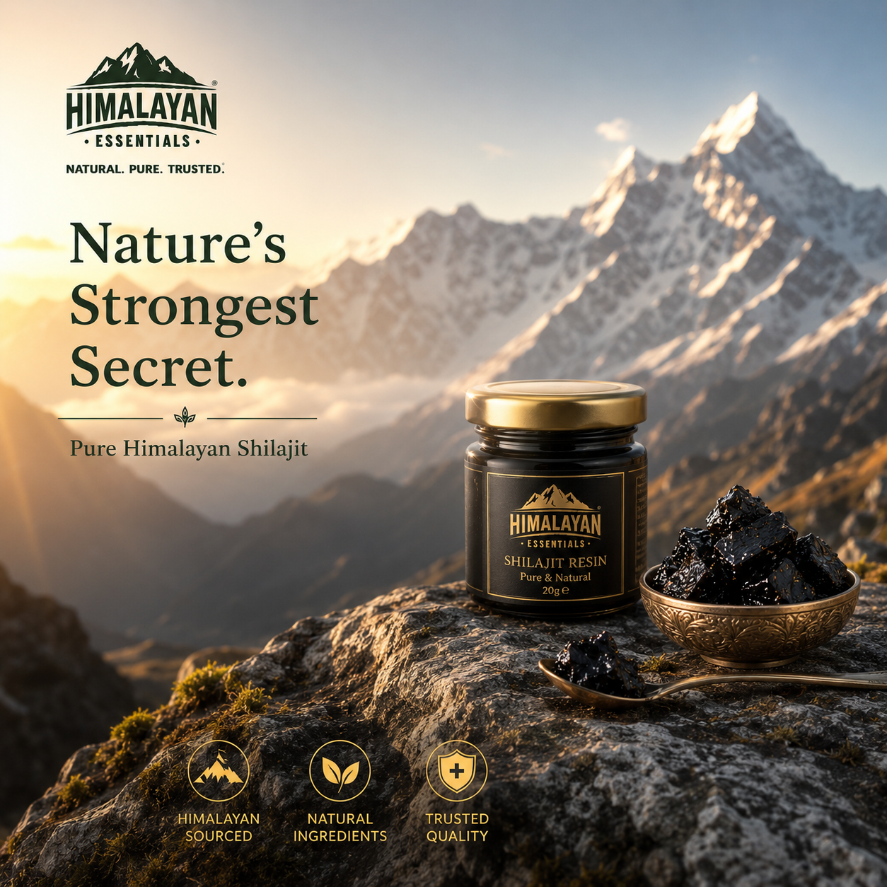 Himalayan Essentials Shilajit With Kesar Resin for power vitality and stamina support