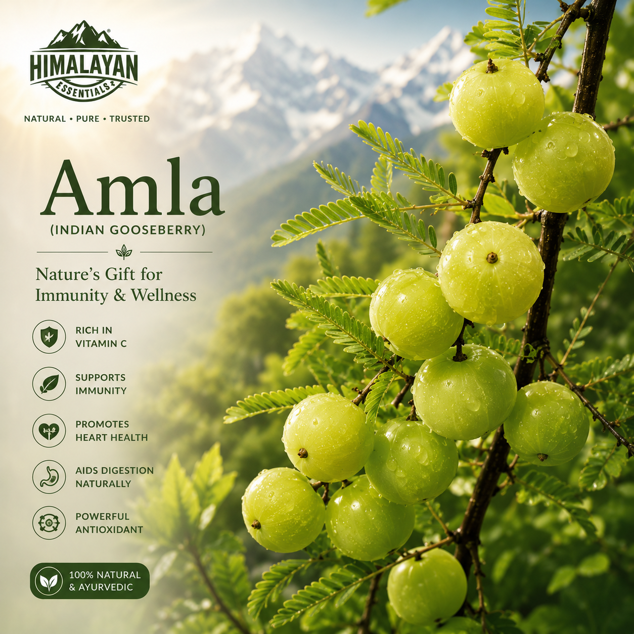 Himalayan Essentials Thyroid Tablets with natural Amla ingredient