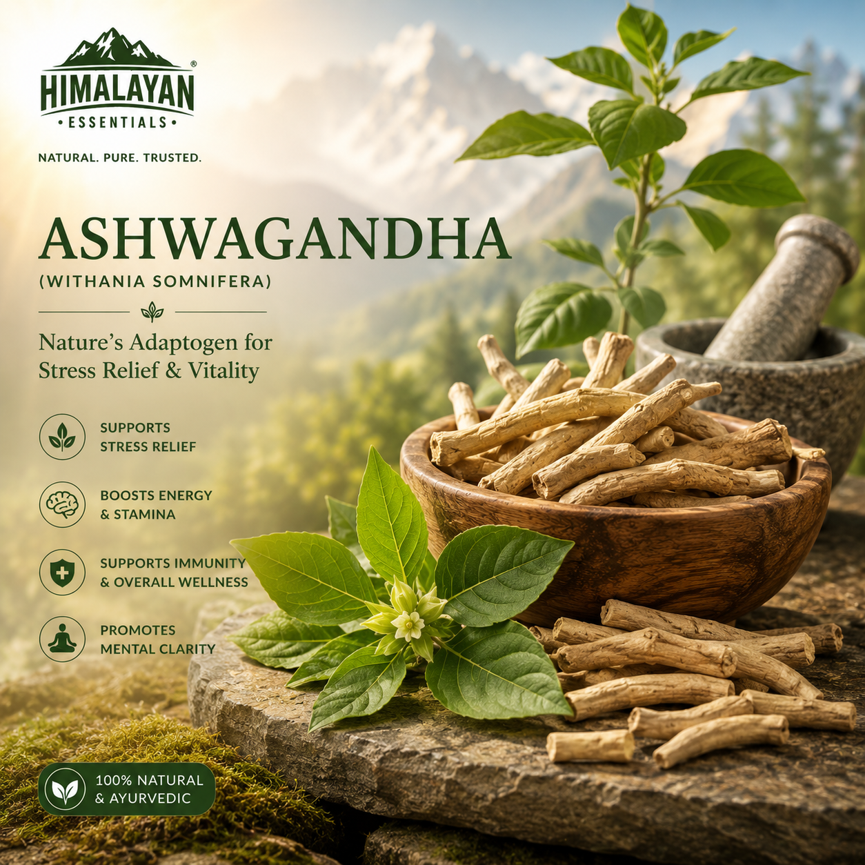 Ashwagandha herb for Himalayan Essentials Thyroid Tablets