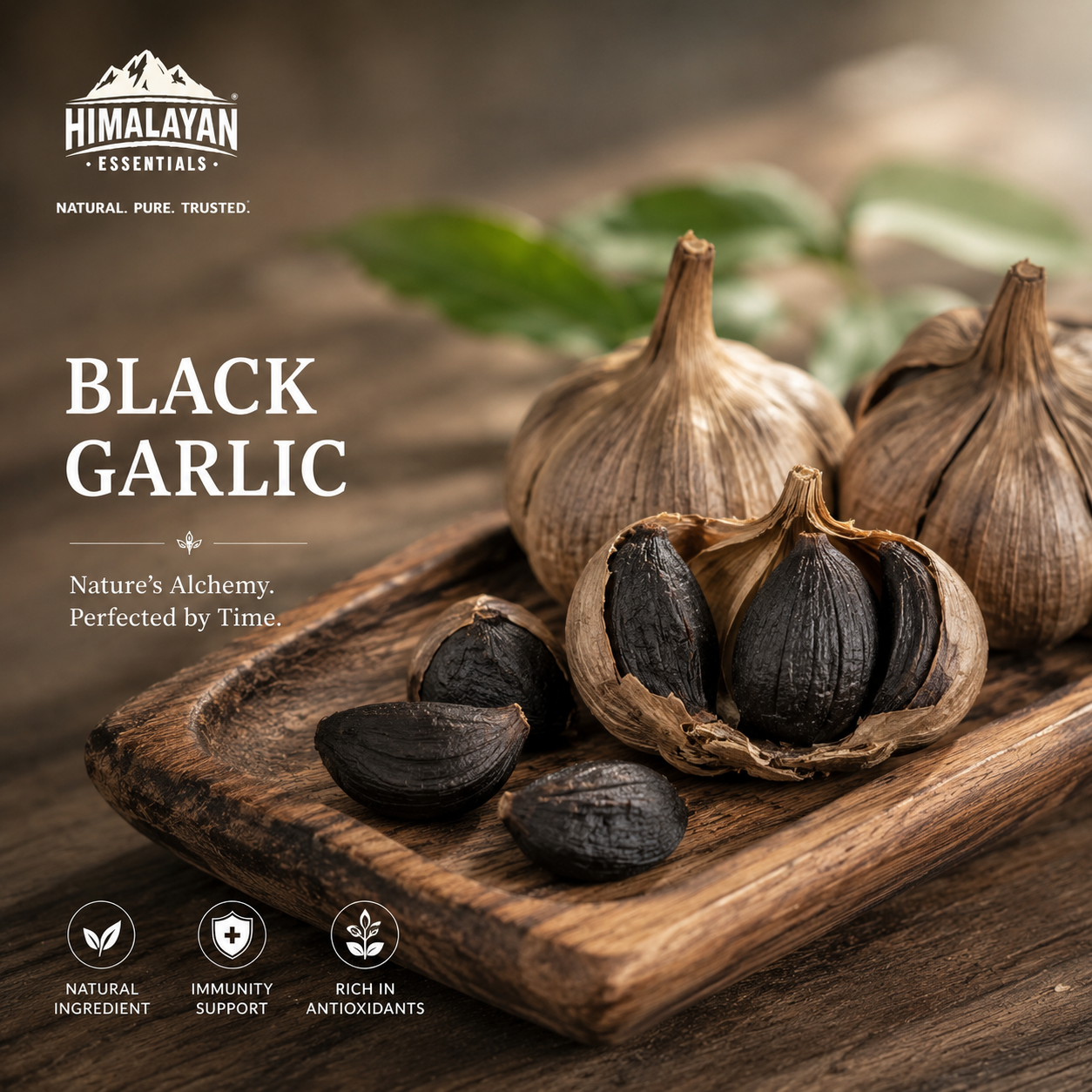 Black Garlic extract used in Himalayan Essentials Young Heart Capsules