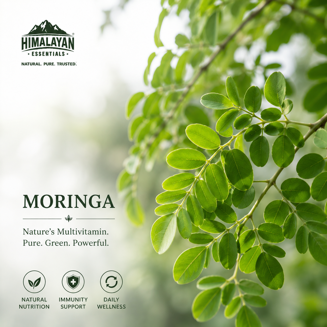 Moringa ingredient in Himalayan Essentials Young Heart Capsules