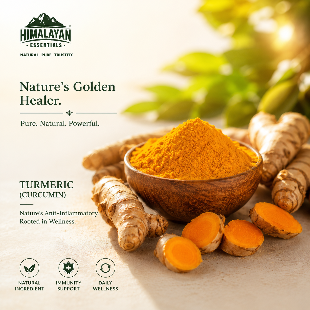 Curcumin ingredient in Himalayan Essentials Young Heart Capsules