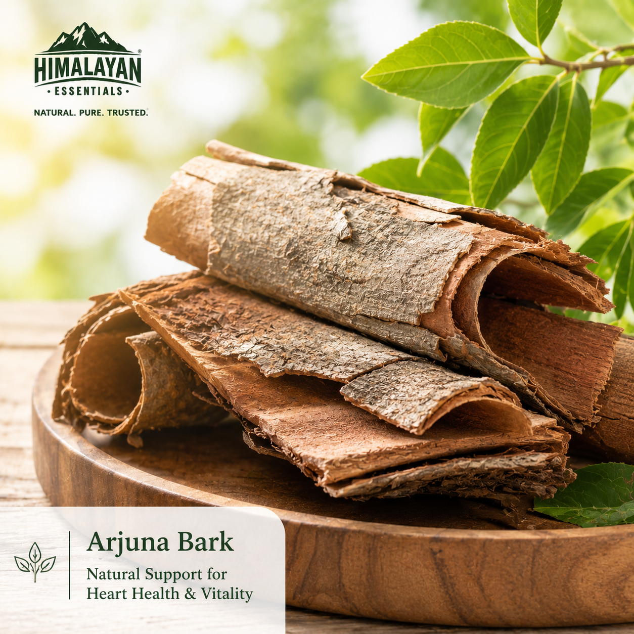 Arjuna Bark ingredient in Himalayan Essentials Young Heart Capsules